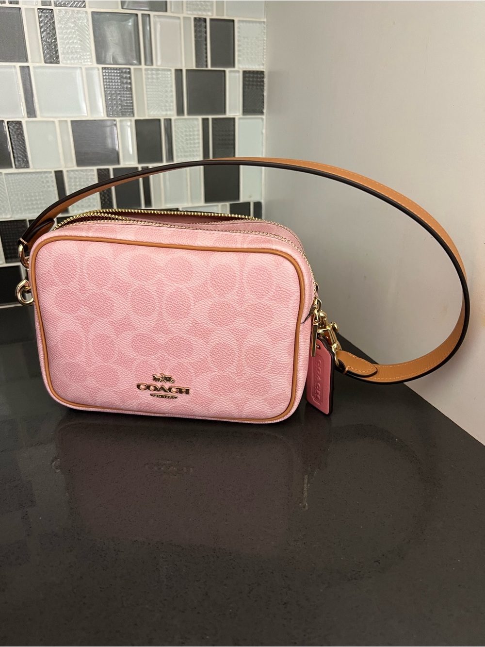 Coach Pink Signature Camera Crossbody with Tan Strap